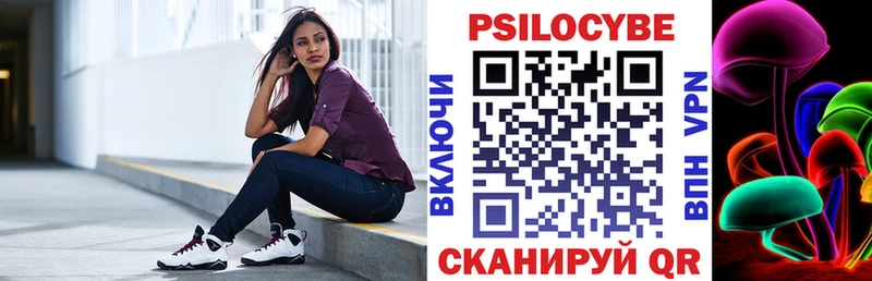 Галлюциногенные грибы Psilocybine cubensis  Бирюч 