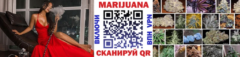 Бошки Шишки семена  купить наркотики цена  Бирюч 